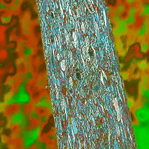 Quand Le Sonneur Fabule