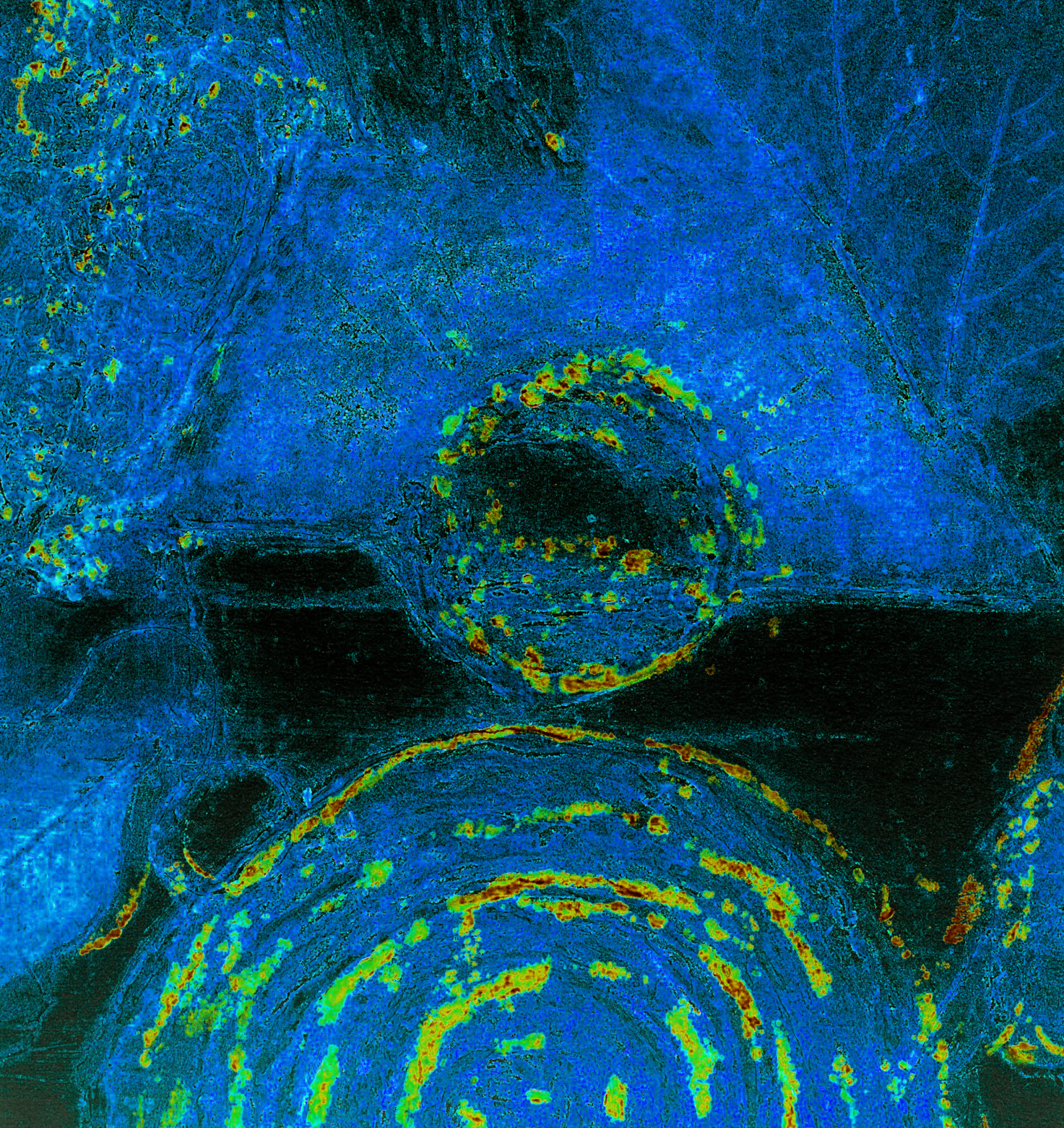 Sanft und rätselshaft