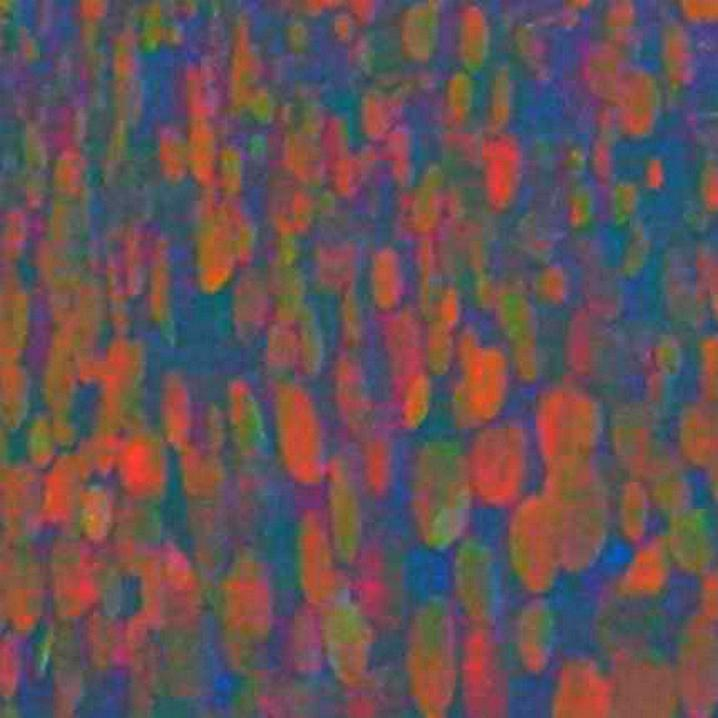 Le Chambranle Mouvant